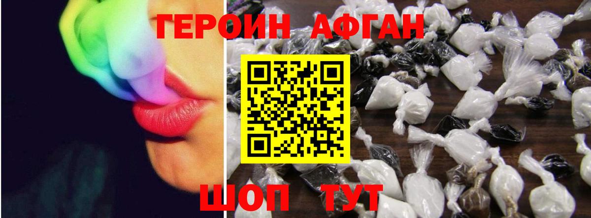 ГЕРОИН хмурый Горно-Алтайск
