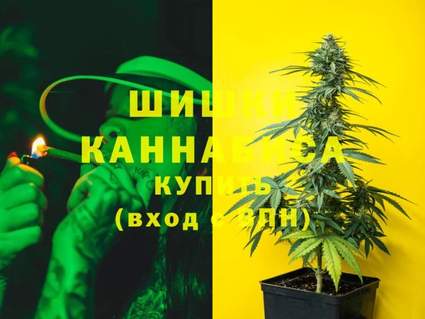 дживик Бородино