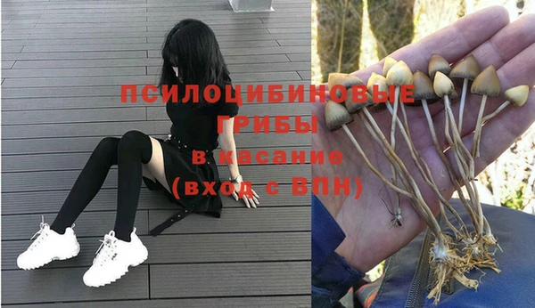 молекула духа Бугульма