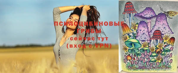 2c-b Богородицк