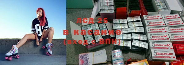 дживик Бородино