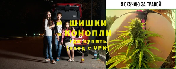 дживик Бородино