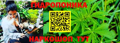 mix Можга
