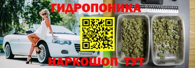 молекула духа Можайск