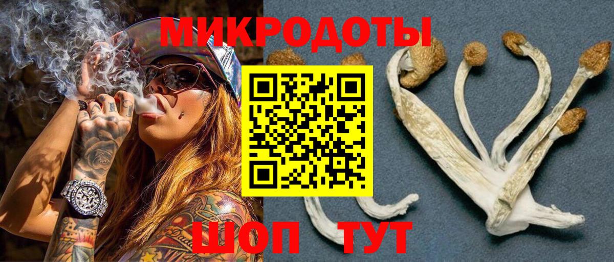 Галлюциногенные грибы прущие грибы  Вход с VPN  Псилоцибиновые грибы Psilocybe  Горно-Алтайск 